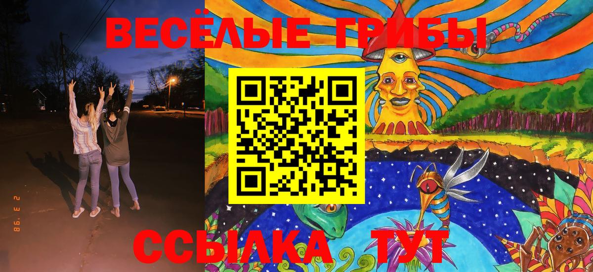 Псилоцибиновые грибы Cubensis Лыткарино