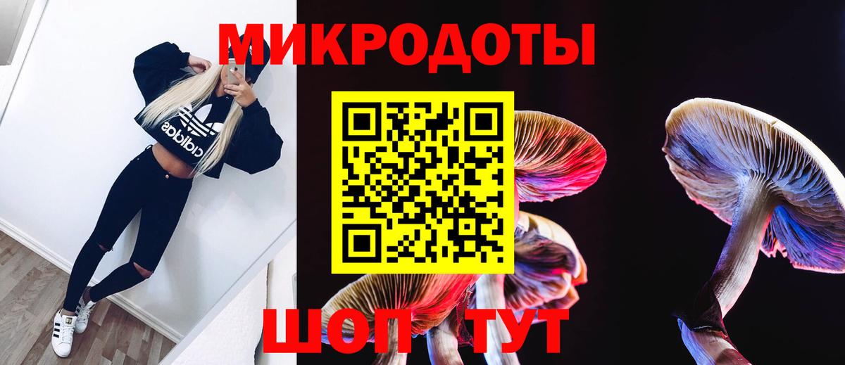 Лыткарино  где найти наркотики  Вход с VPN  Галлюциногенные грибы Psilocybine cubensis 